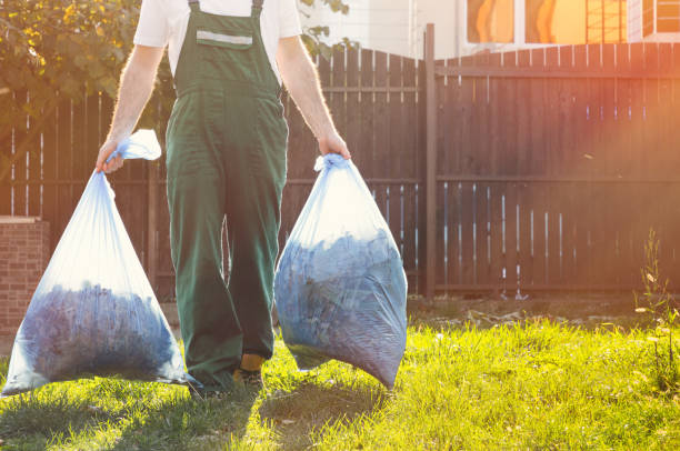 Basement Cleanout Services in Sutton Alpine, AK